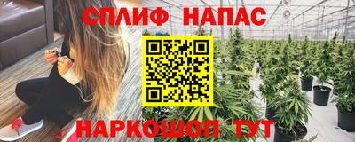 шишки Беслан